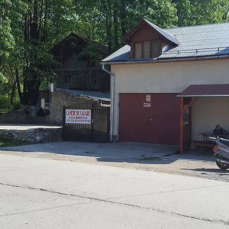 Casa Borcean Sasca Montană Exterior foto